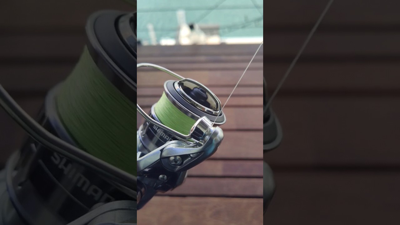 Brand New Shimano Nasci 1000 FC the ultimate Bream Reel!