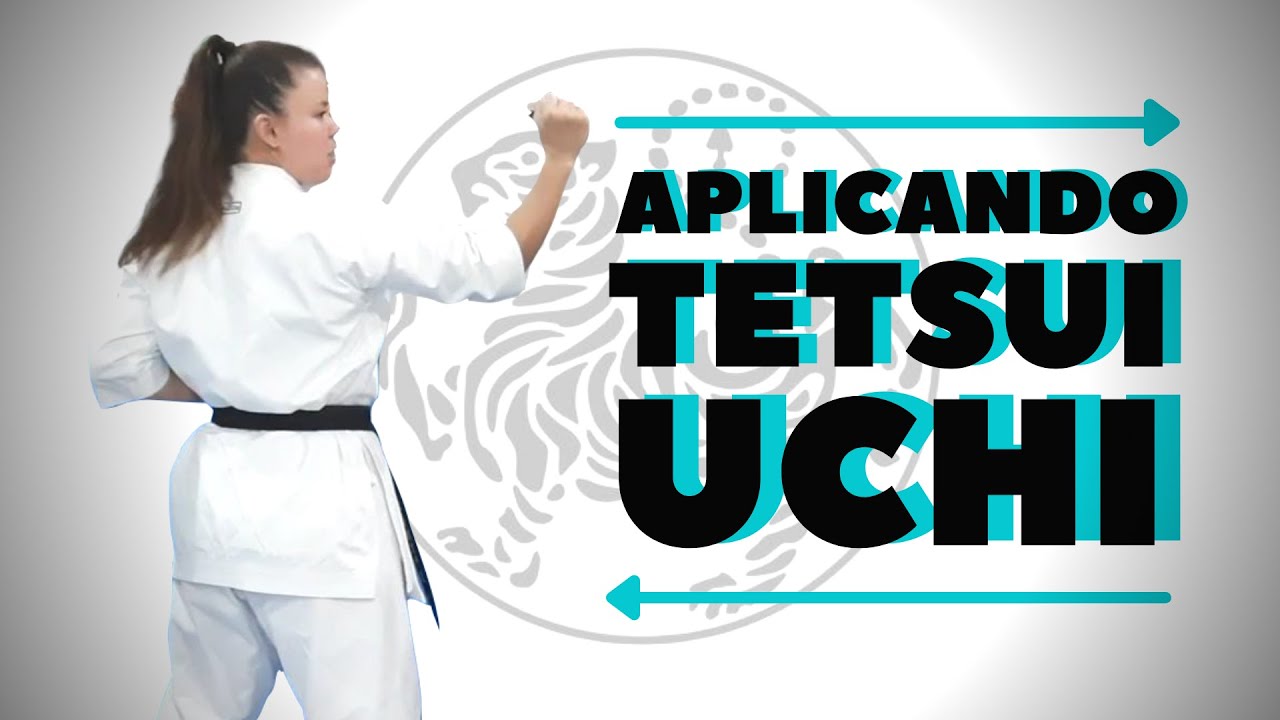 Aplicações - Aplicando o Tetsui Uchi - Karate Shotokan