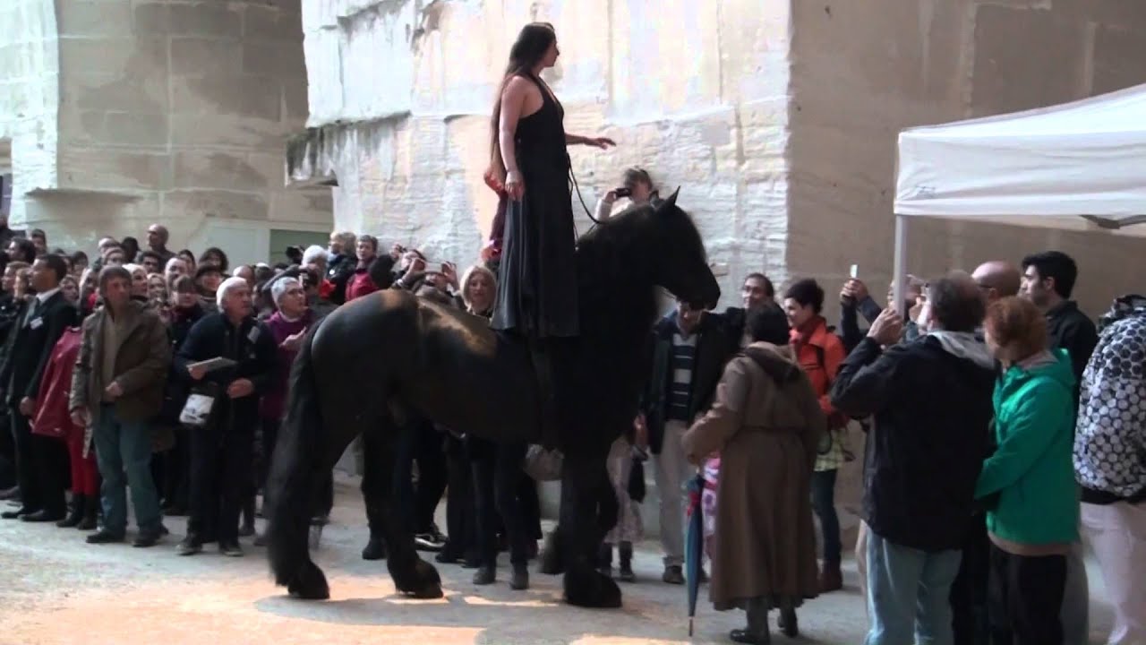 TransHumance aux Baux de Provence
