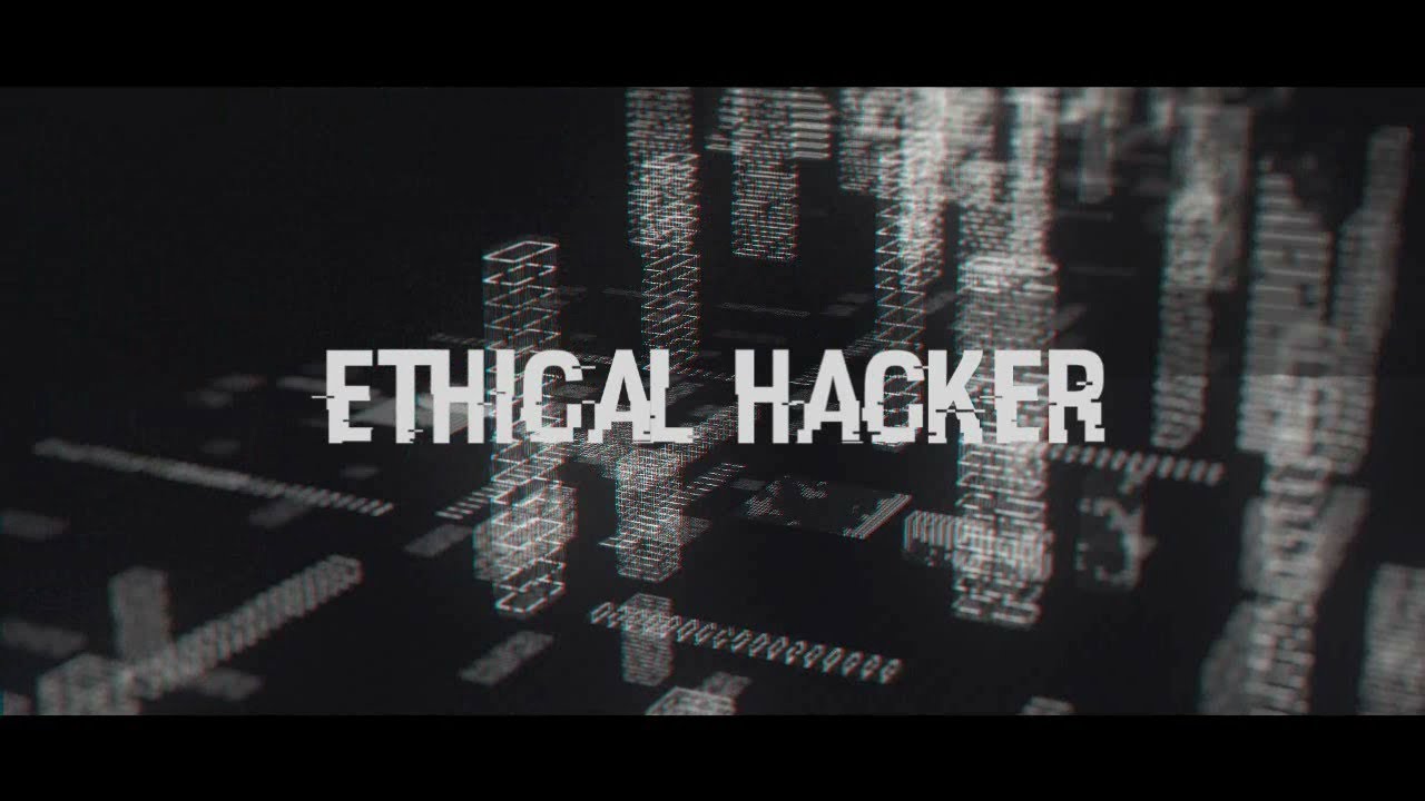 Dica de livro - Testes de Invas&atilde;o: Uma introdu&ccedil;&atilde;o pr&aacute;tica ao hacking