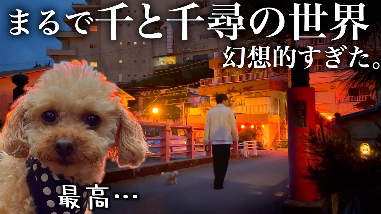 【超穴場】まるでジブリの世界。レトロな温泉街に愛犬と泊まったら癒されすぎました…。