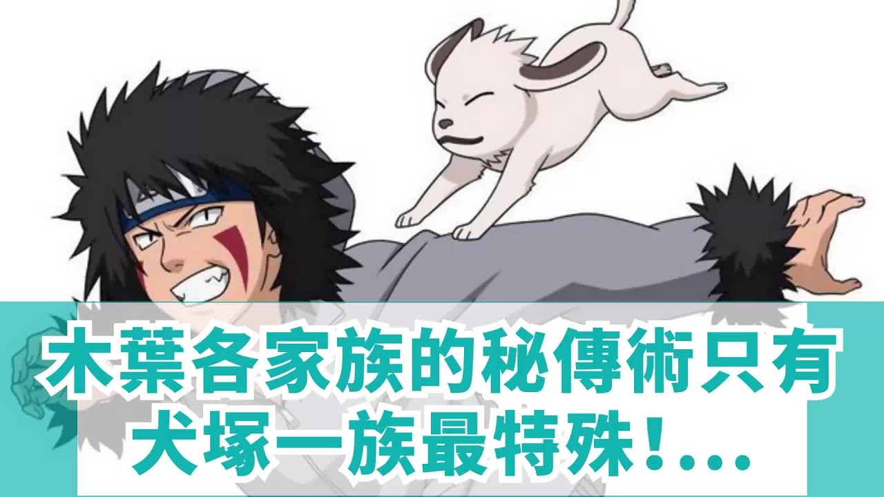 木葉各家族的秘傳術，只有犬塚一族最特殊！獨一無二的能力！