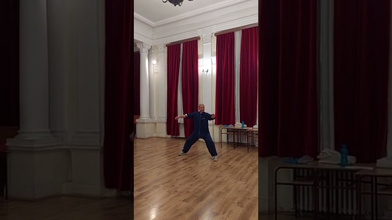 太极拳 Taijiquan, Tai Chi Chuan in Belgrade, Serbia 太极拳 塞尔维亚 贝尔格莱德