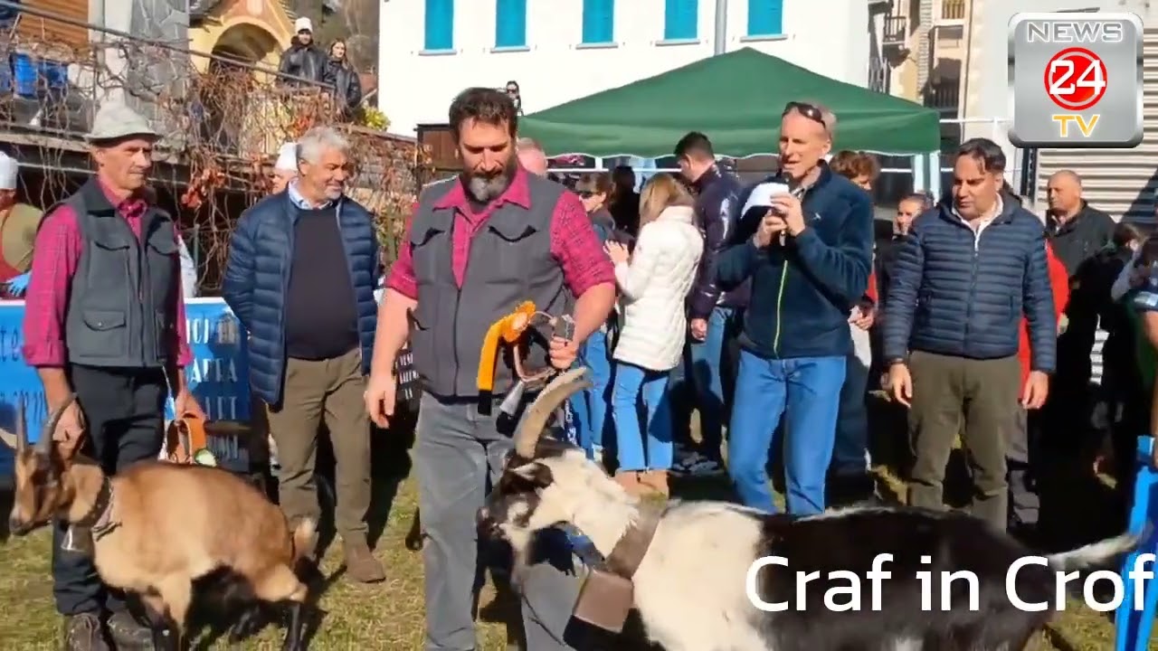 Craf in Crof a Croveo di Baceno,  25^ edizione della mostra zootecnica ovicaprina
