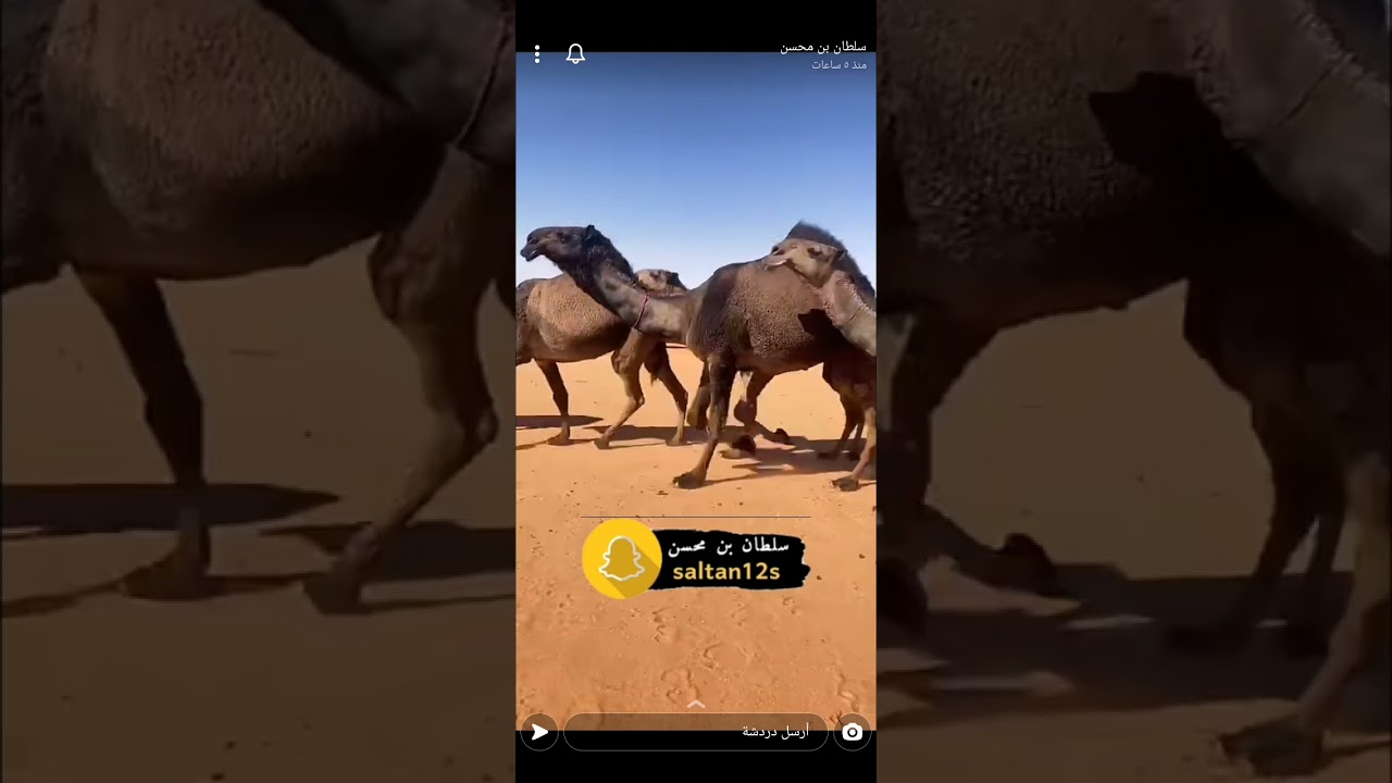 الدبوس VS ابن دغيثر : جمعنا المنقيتين وانت عليك تحكم عزيزي المتابع #ديربي_الصفر ٢٠٢٢