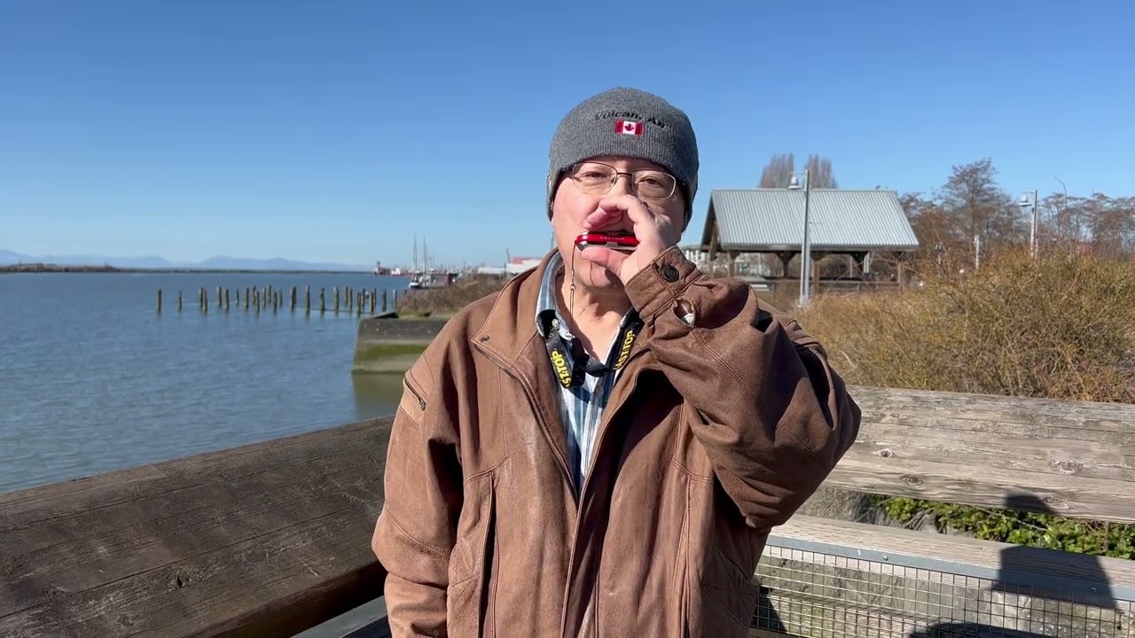 Ob-La-Di Ob-La-Da - Diatonic Harmonica - Lucky 8