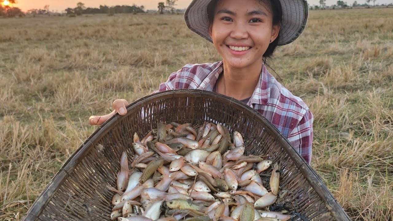 កូនត្រីខែប្រាំង...!🌄🌾