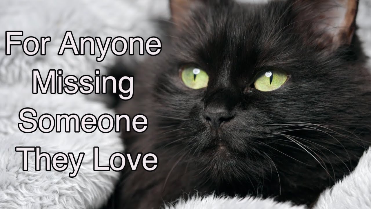 For Anyone Missing Someone They Love — A Gentle Moment