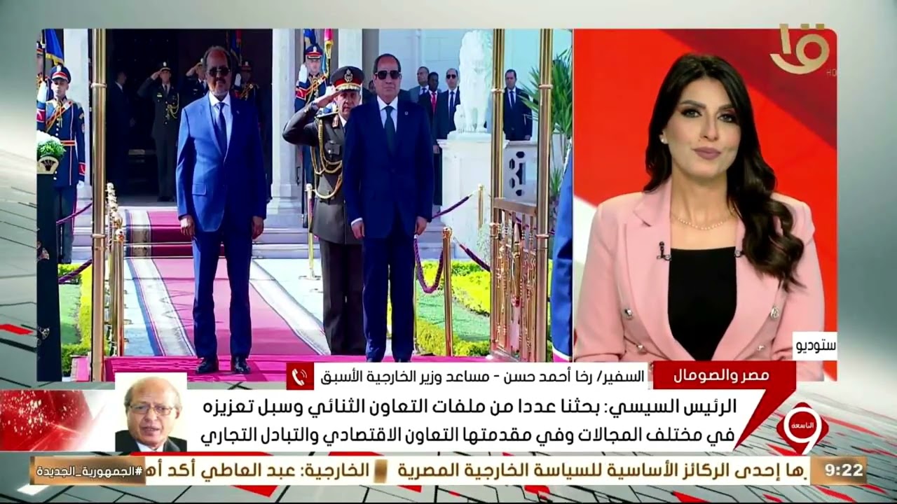 الرئيس السيسي يستقبل الرئيس الصومالي بقصر الاتحادية.. السفير رخا أحمد حسين لمزيد من التفاصيل