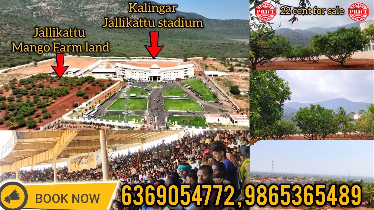 Low price Best 22 cent Farm land for sale in madurai| Near Kalaingar Jallikattu stadium.