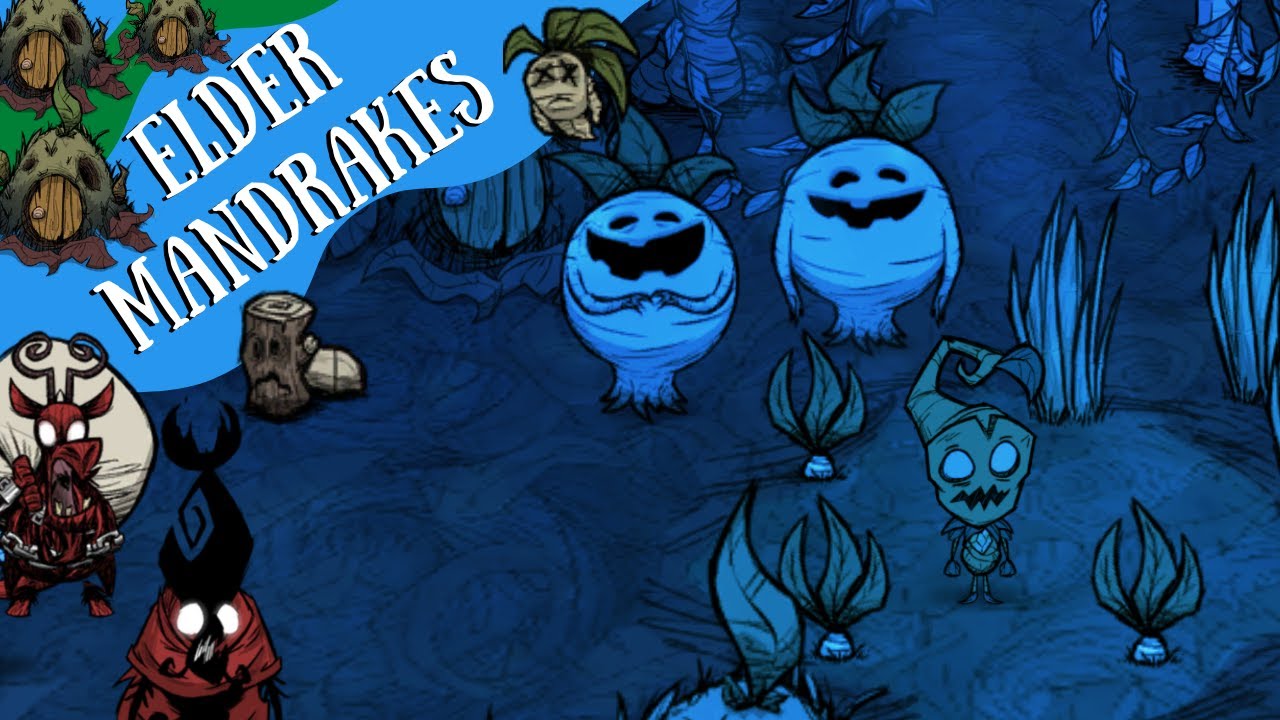 Don't Starve Hamlet Guide: Elder Mandrakes