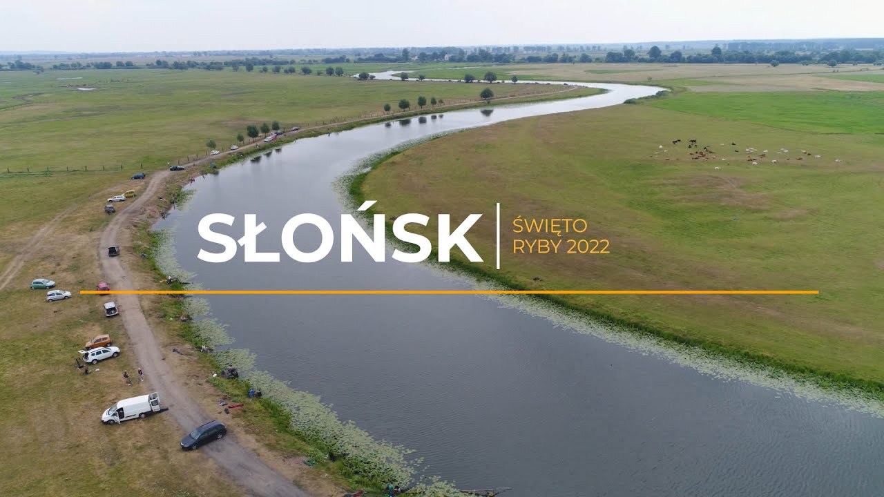 Święto Ryby 2022 Słońsk