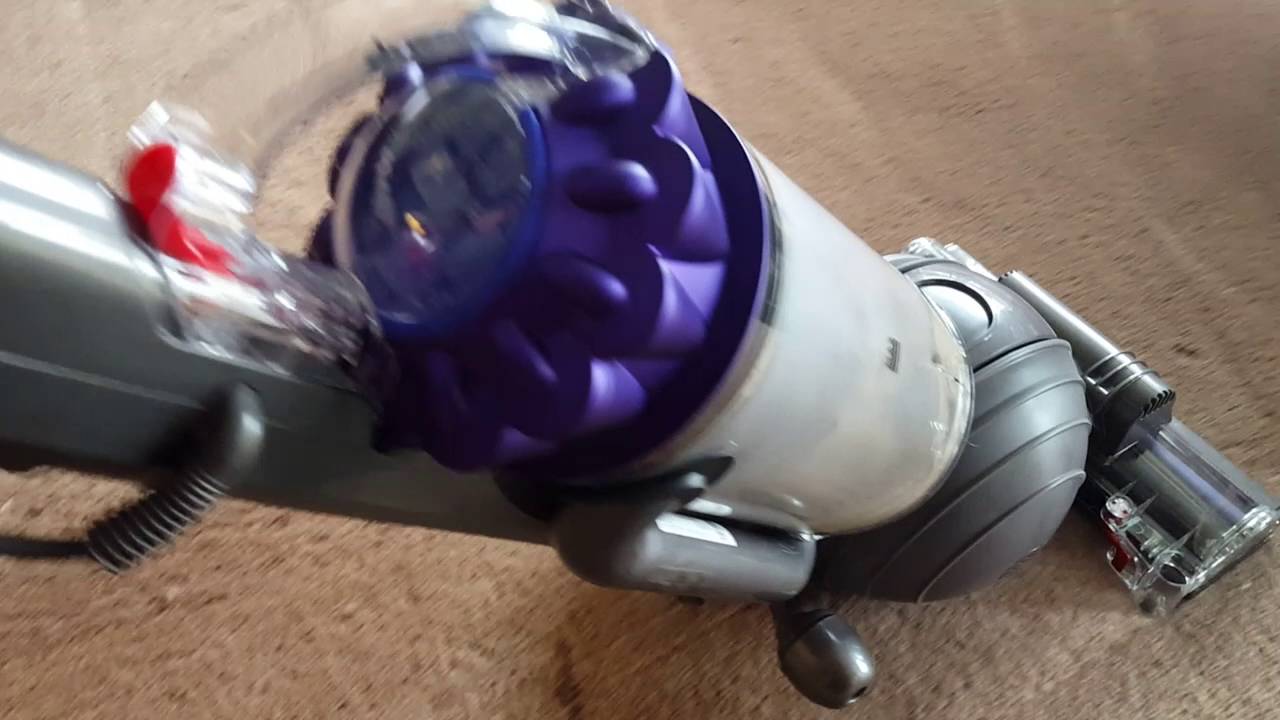 Dyson ball animal first test