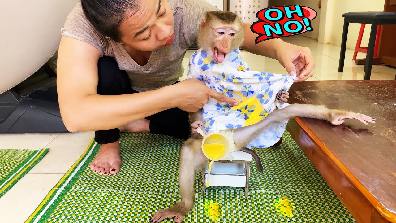 OMG!!! Monkey Lyly was hungry so she hurriedly ate and accidentally spilled the food