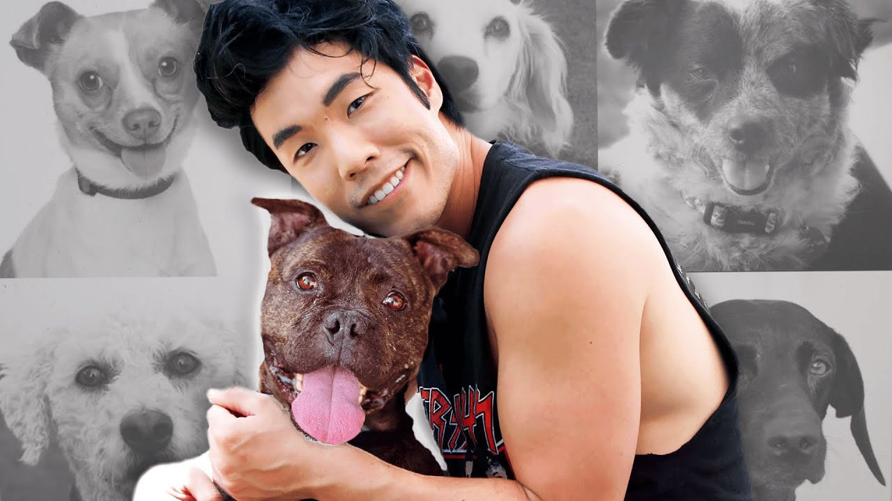 Try Guys Volunteer With Rescue Dogs