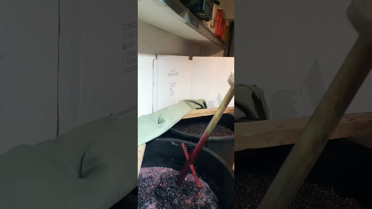 Vino fatto in casa, follatura: breve descrizione di una delle operazioni di lavorazione.