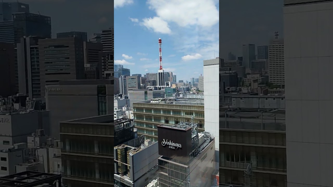 GINZA SIX ROOFTOP GARDEN OVERLOOKS THE GINZA AREA TOKYO CHUO CITY