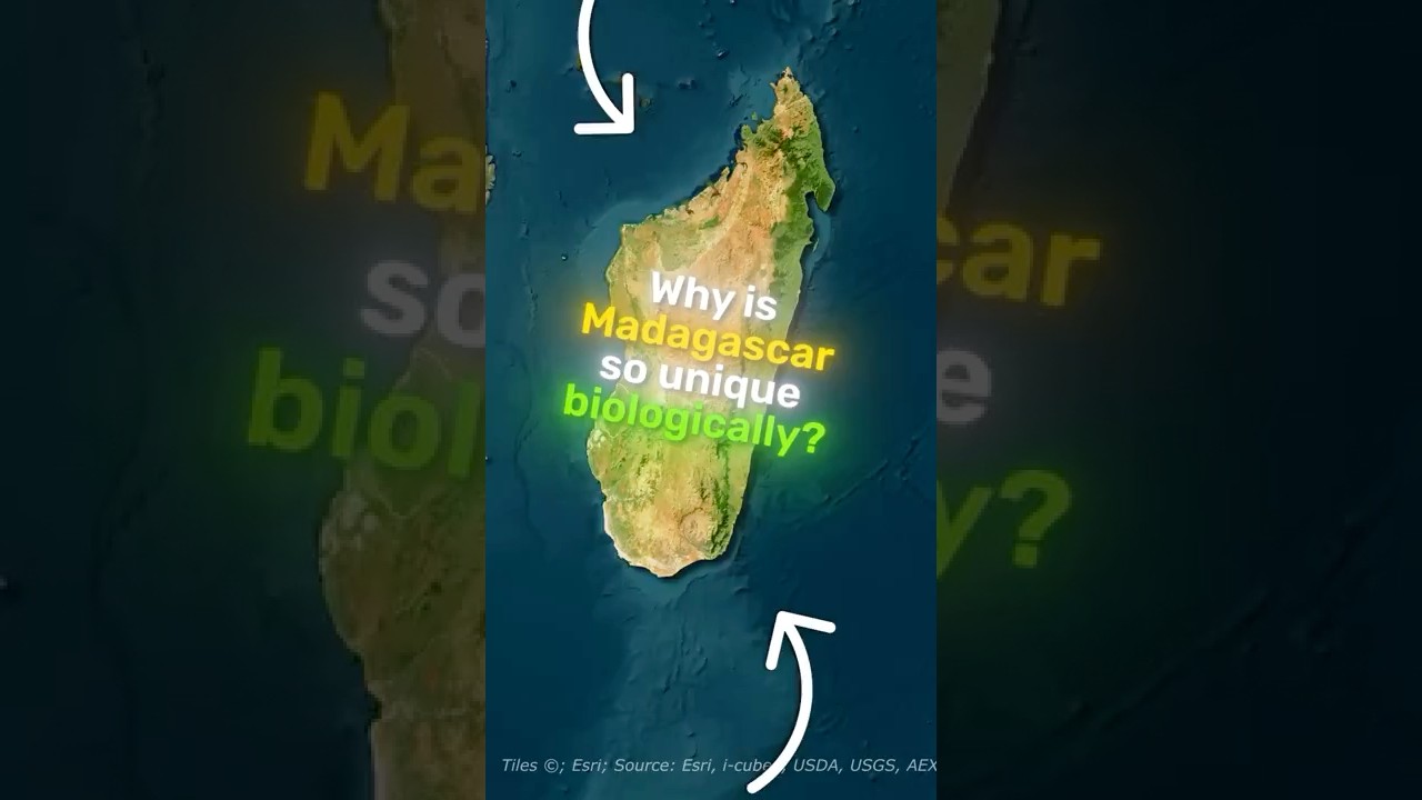 Why Is Madagascar So Unique Biologically?