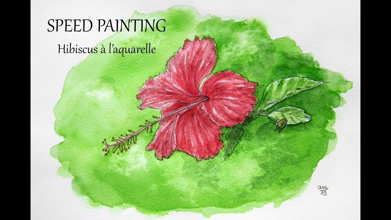 Speed painting hibiscus à l'aquarelle