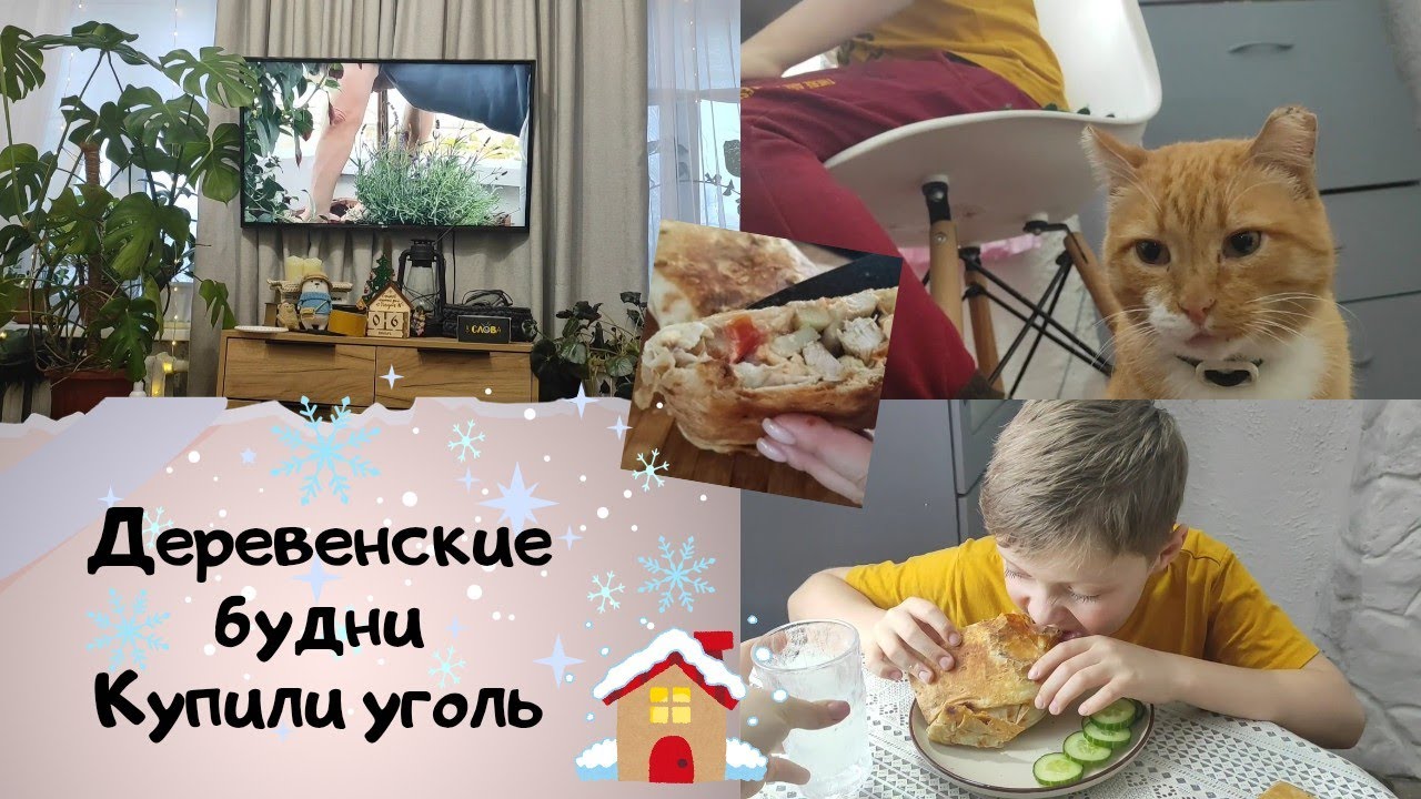 Деревенские будни 🏡Одна с детьми ❤️Купили уголь ☃️