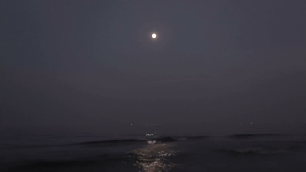 kalash, sfera ebbasta - mwaka moon rmx (𝑠𝑝𝑒𝑑 𝑢𝑝)