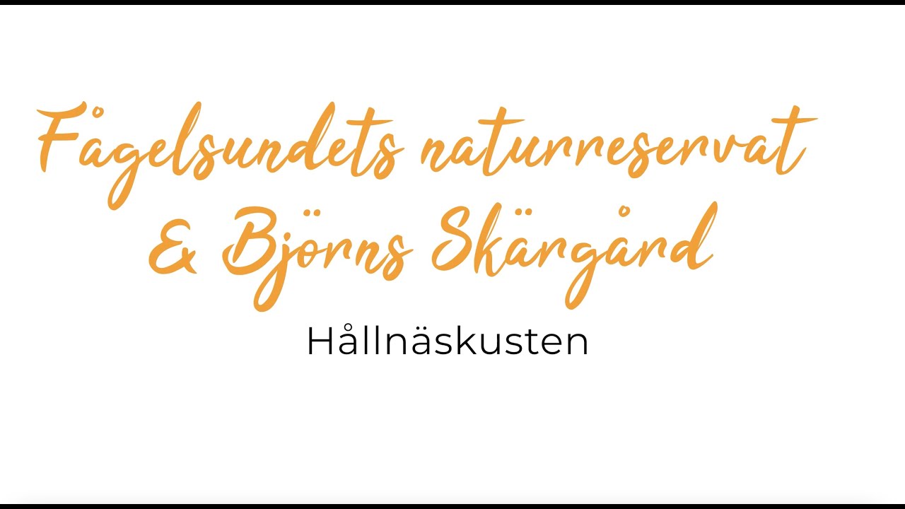 Björns skärgård