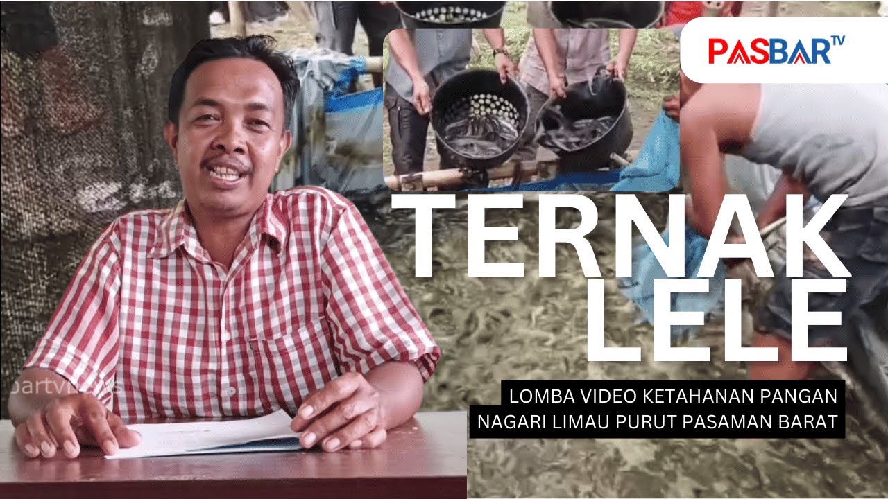 VIDEO KETAHANAN PANGAN NAGARI LIMAU PURUT