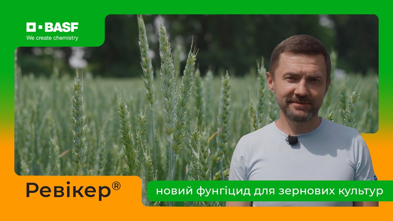 Ревікер® — новий фунгіцид для зернових культур!