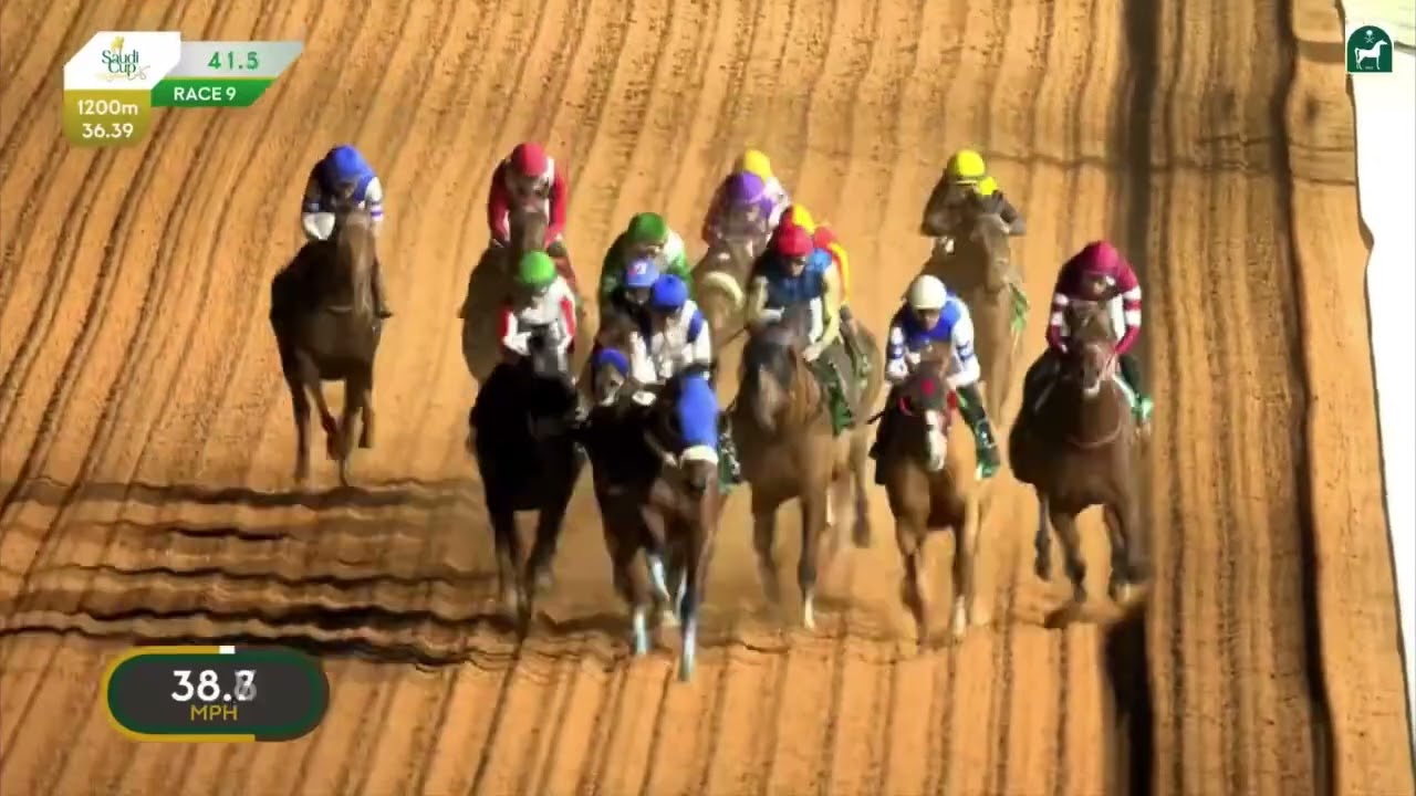 #ForverYoung #SaudiCup #HipismoInternacional #Trackandraces 
