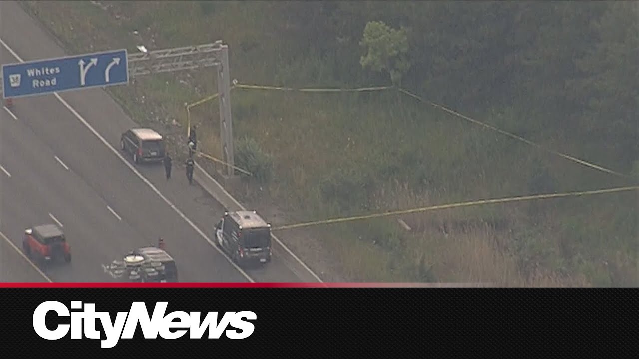 Body discovered off Highway 401, Toronto police investigating homicide
