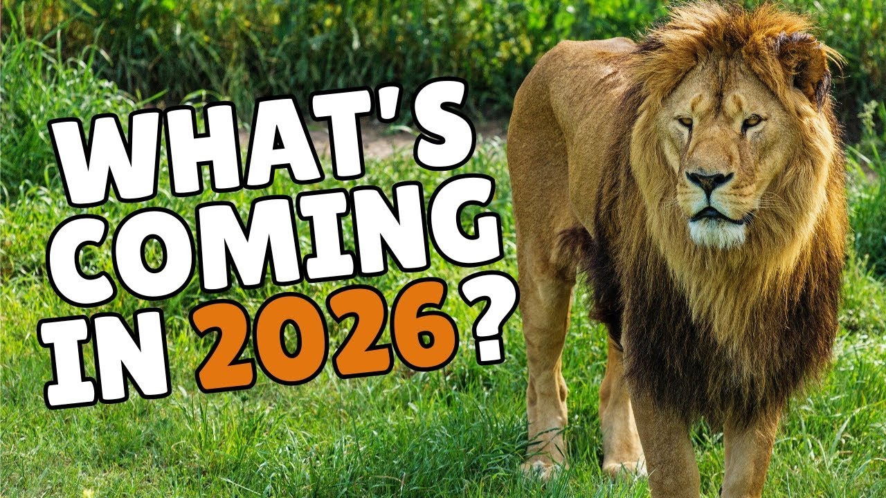 What&rsquo;s Coming to Florida in 2026?