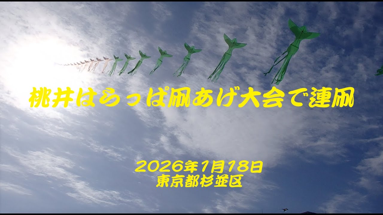 桃井はらっぱ凧あげ大会で連凧