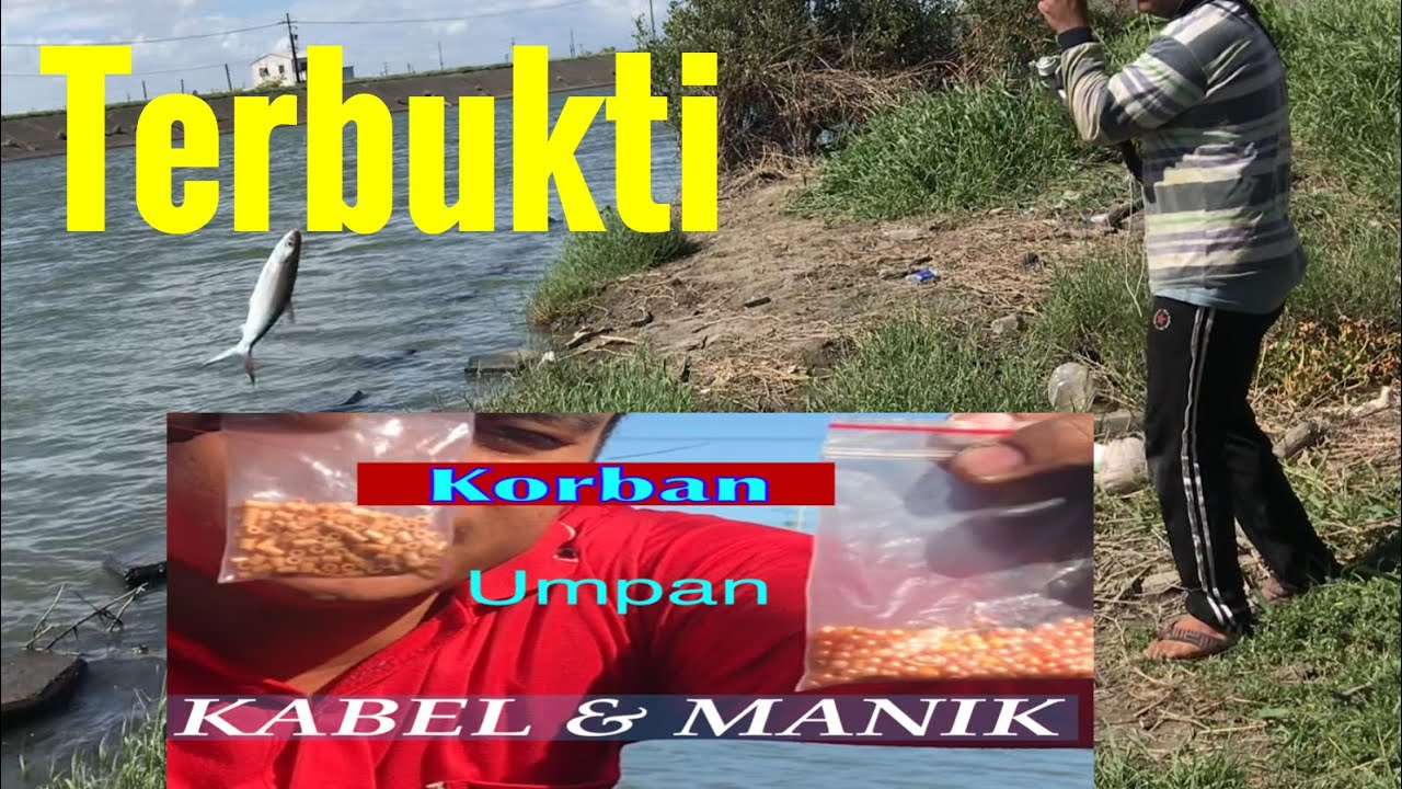 Cara baru mancing ikan bandeng liar