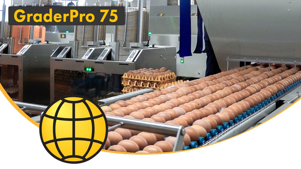 Egg Grading and Packing Machine - GraderPro 75 - SANOVO TECHNOLOGY GROUP.
