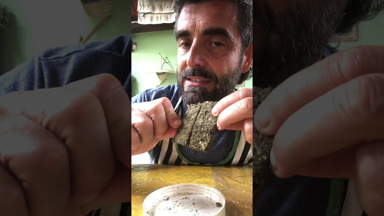 Chegou o corre! Vamos analisar o prensado 11/01/2025