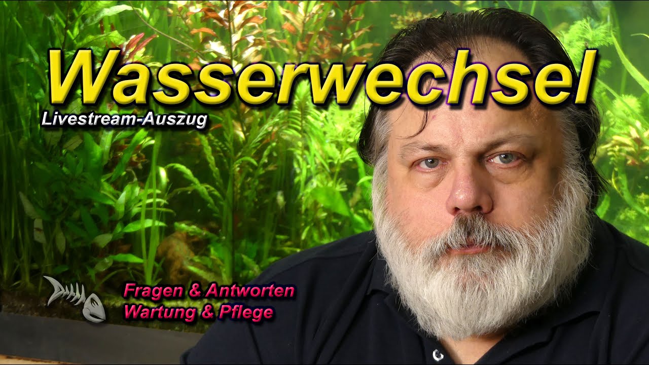 Wann sollte man den ersten WASSERWECHSEL IN DER EINFAHRZEIT machen?