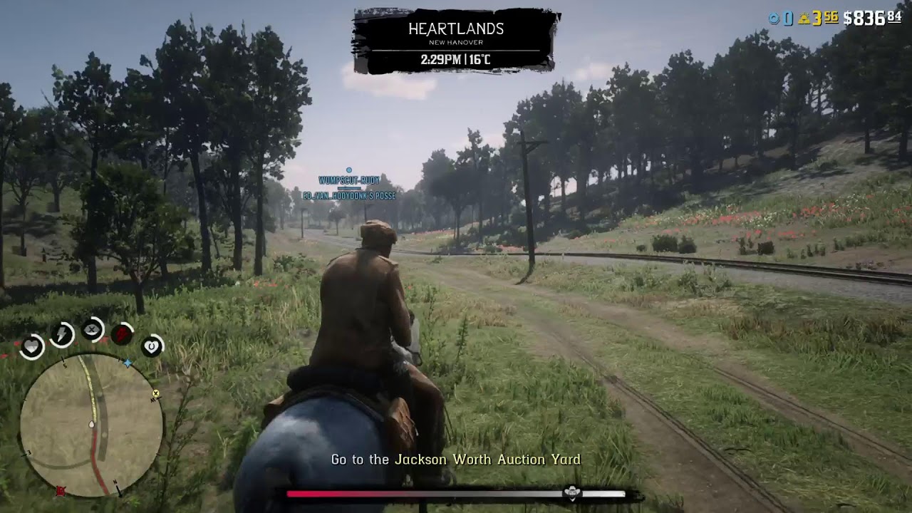 Playing some rdr2 online