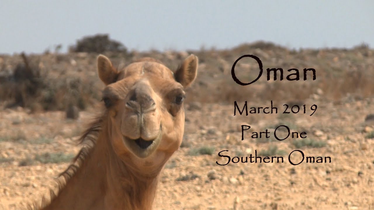 Oman 2019 Part 1