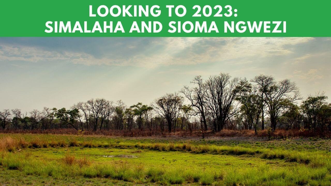 From Strength to Strength in Zambia