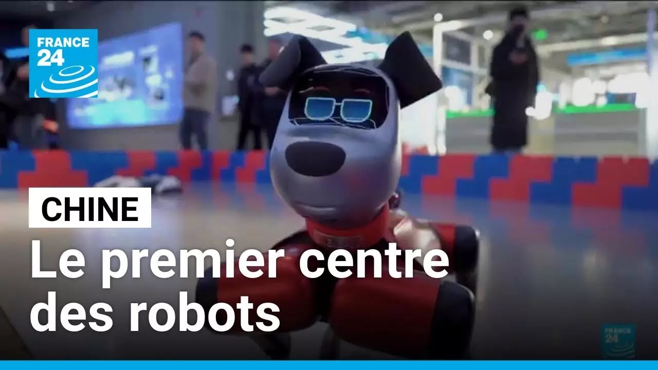 Chine : le premier centre commercial au monde d&eacute;di&eacute; aux robots &bull; FRANCE 24