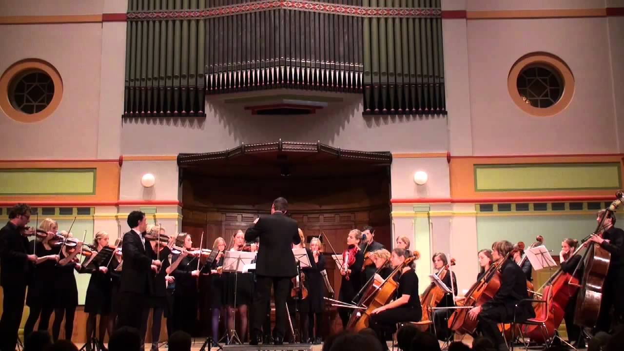 Florian Magnus Maier - Fugacity (concerto for organ and strings).mp4