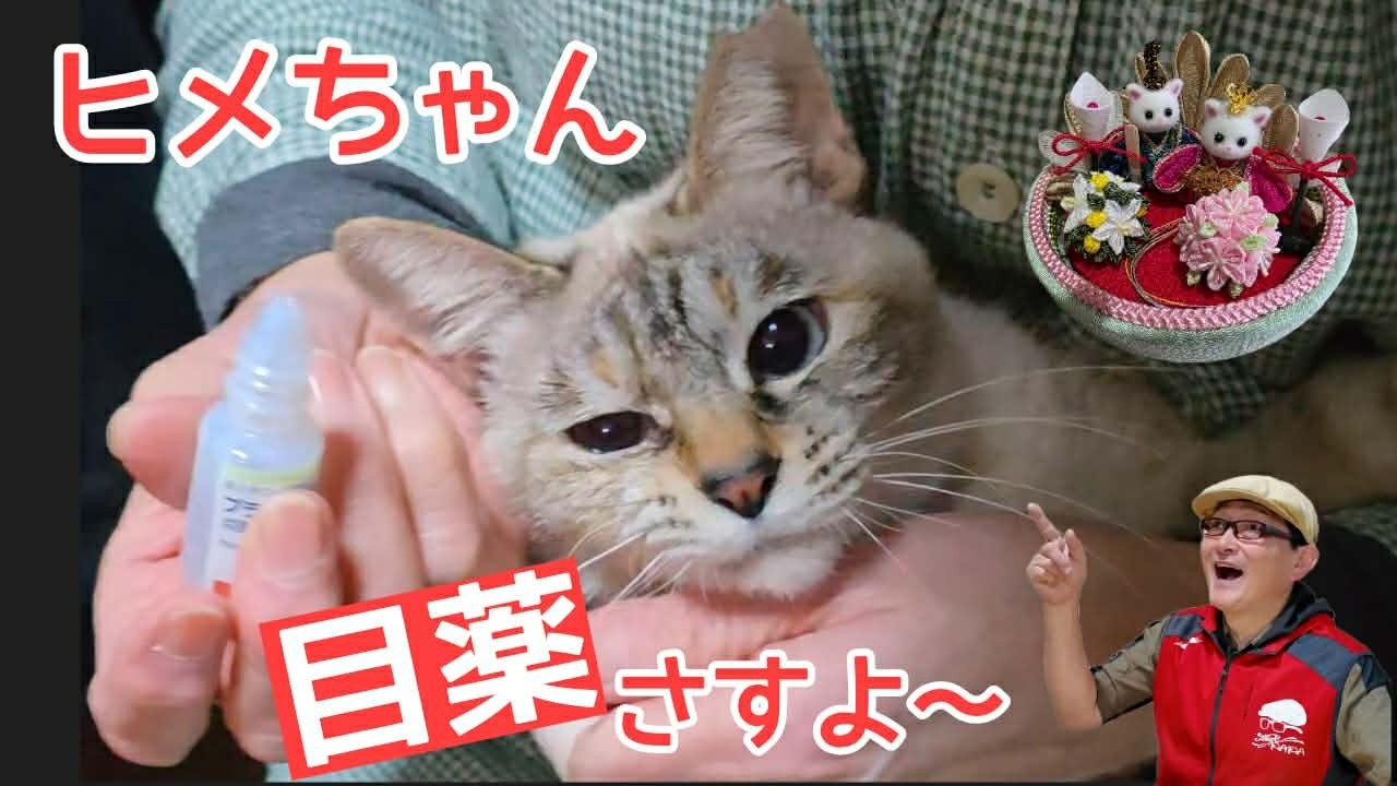 目薬さすよー！シックスカートとみほつ姫のヒメちゃん日記