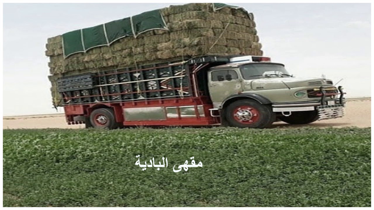 يا حن قلبي حن سقسٍ مع نزلات - عبدالرحمن ذعار العاطفي (حصرياً)