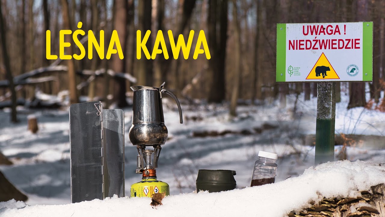 Wypił kawę w lesie i zaległ
