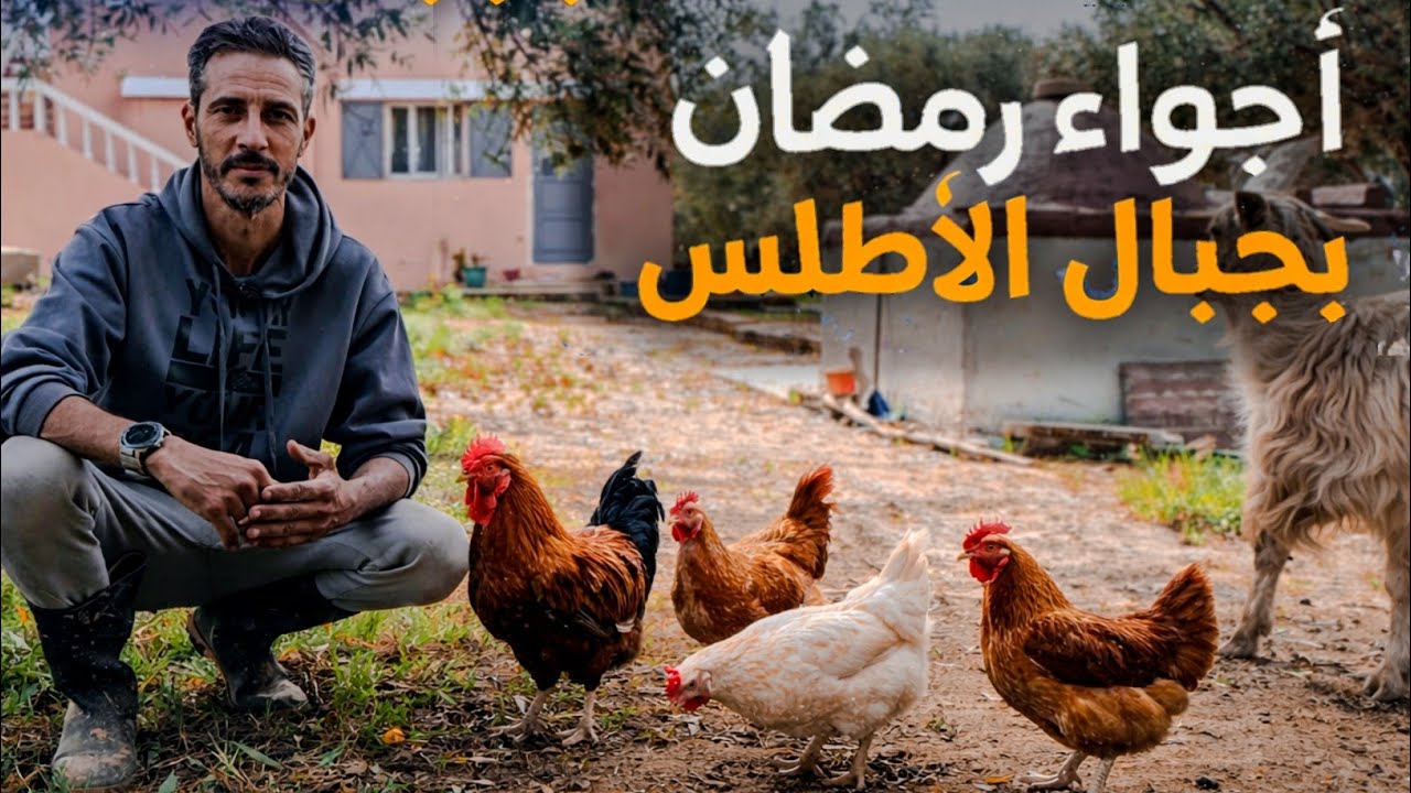 الحياة الجبلية في ظل الاجواء الرمضانية | إطعام الدجاج والماعز و الاعتناء بالثوم و البصل  