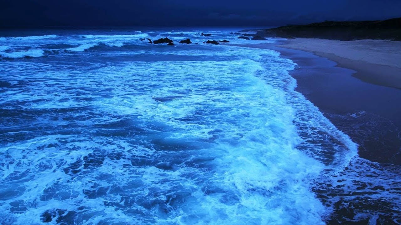 Relaxing Sea Waves at Sunset | Calm Ocean Sounds for Study, Sleep & Focus🌊relaxing ocean waves