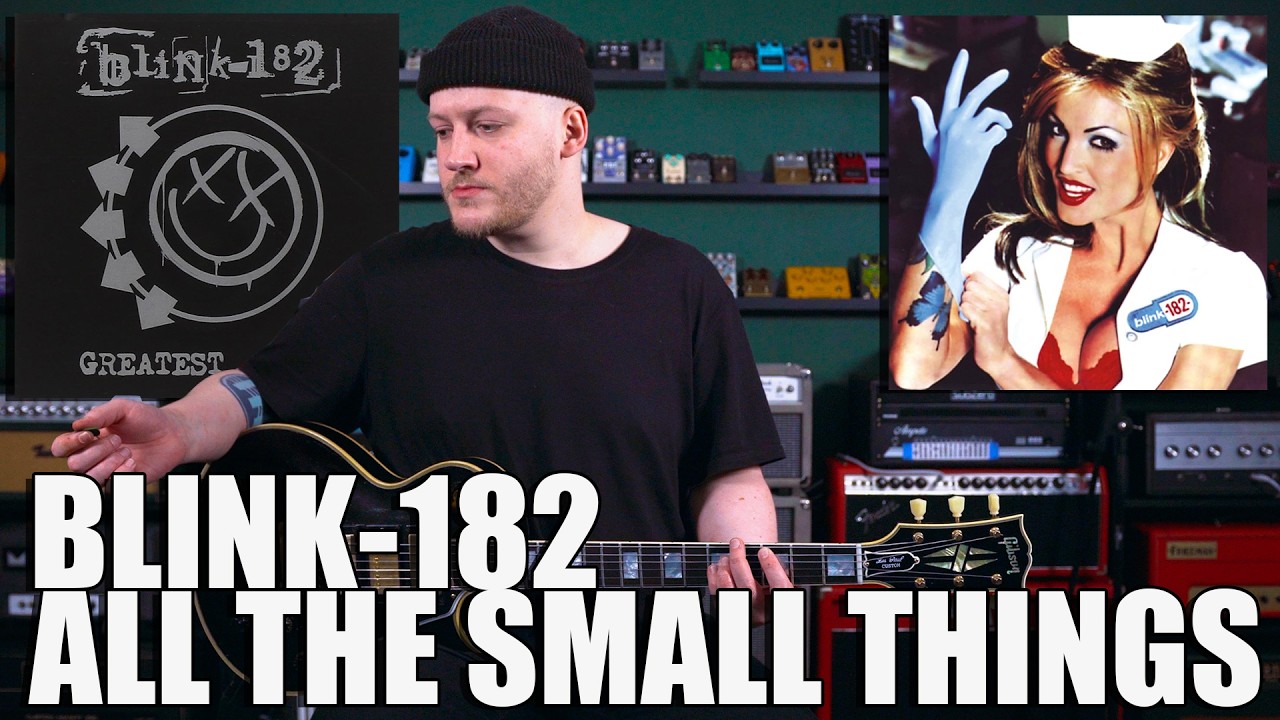 All The Small Things - Blink 182 Guitar Cover