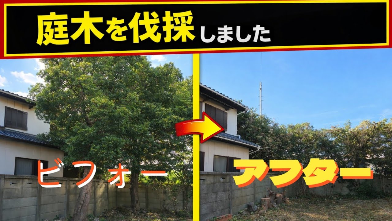 荒れた庭がスッキリ！伐採ビフォーアフター|きこりの与作