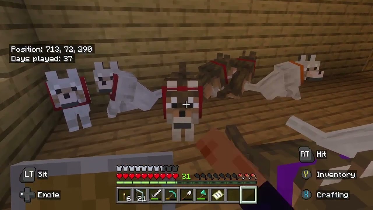 Minecraft survival