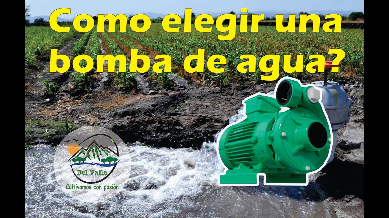 como elegir una BOMBA DE AGUA correcta?  BARNES-PEDROLLO